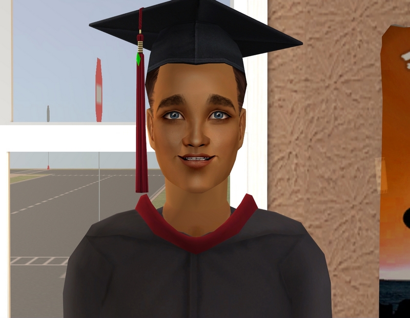 Sims 3 Political Career Degree